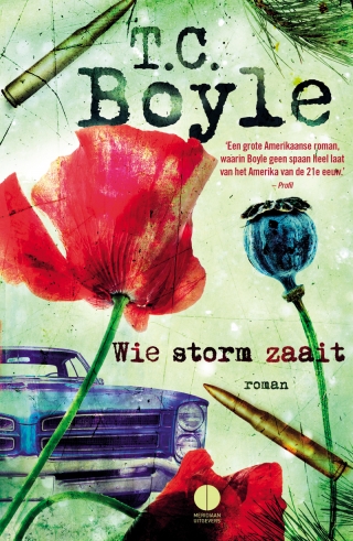 boyle storm