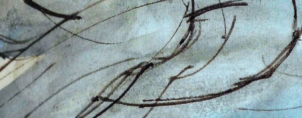 Tzum | Recensie: Nicolien Mizee - Allesverpletterende, Faxen aan Ger 3